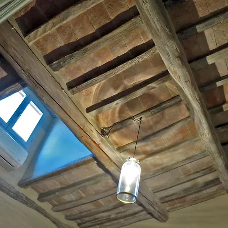 Stylish كورتونا